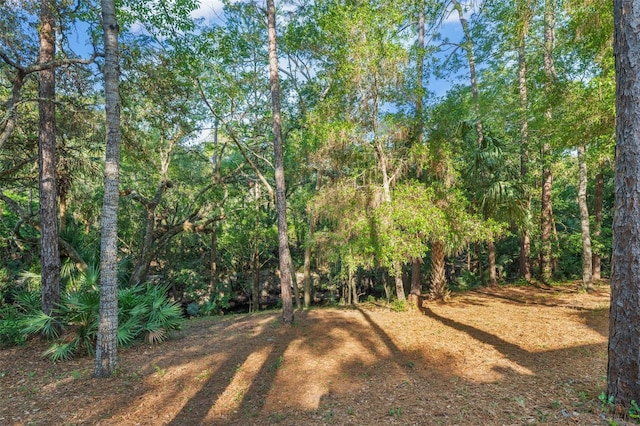 4000 Rouse Rd, Orlando, FL 32817 - view of yard
