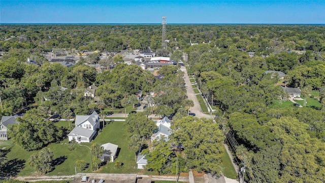 246 N Oak Ave, Orange City, FL 32763 - photo 36