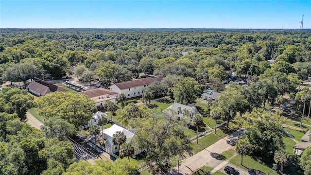 246 N Oak Ave, Orange City, FL 32763 - photo 39