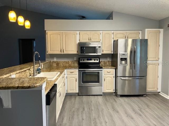 6419 Borg St, Leesburg, FL 34748 - kitchen with stainless steel appliances, a peninsula, a sink, light wood-type flooring, and lofted ceiling