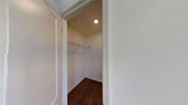 spacious closet with carpet flooring
