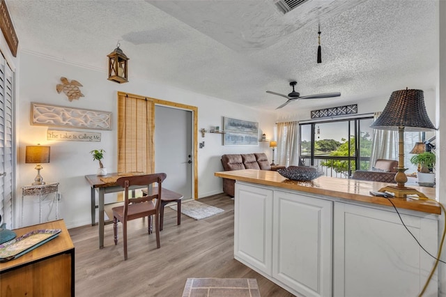 574 Orange Dr Unit 78, Altamonte Springs, FL 32701 - kitchen with a ceiling fan, light wood-style floors, baseboards, a textured ceiling, and white cabinetry