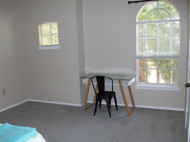 dining area featuring carpet, a healthy amount of sunlight, and baseboards