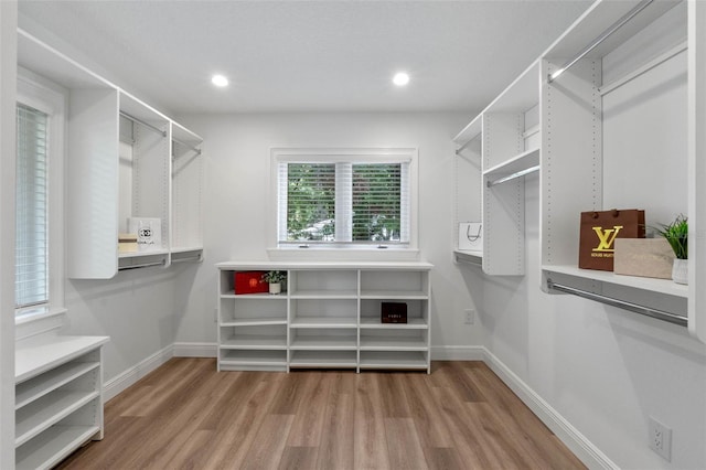 1105 Lake Nettie Dr, Eustis, FL 32726 - spacious closet with wood finished floors
