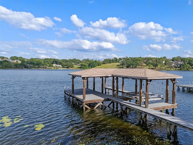 1105 Lake Nettie Dr, Eustis, FL 32726 - dock with boat lift and a water view