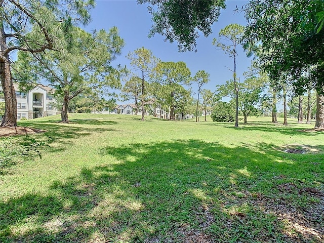 3020 Zaharias Dr, Orlando, FL 32837 - view of yard
