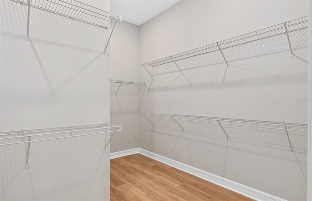 spacious closet with light wood-style floors