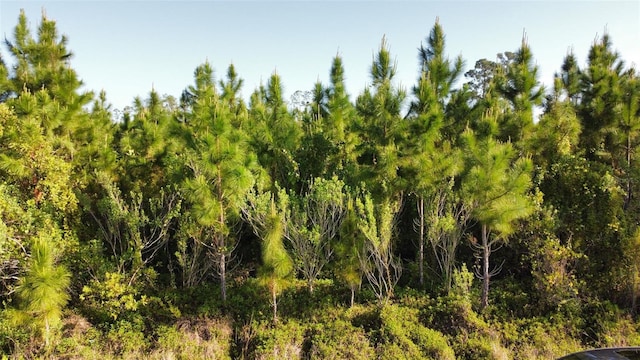 22 Laguna Dr, Indian Lake Estates, FL 33855 - photo 2
