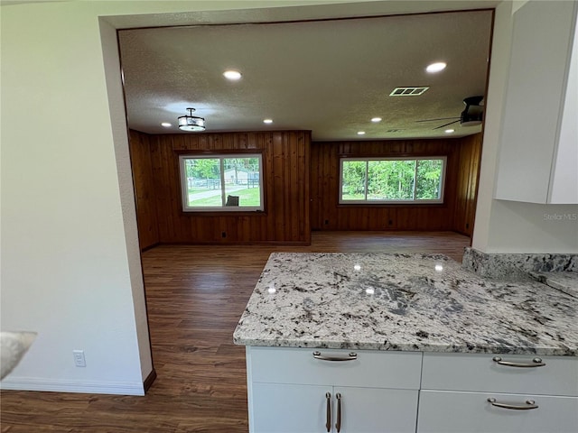interior space featuring baseboards, dark wood-style flooring, and plenty of natural light