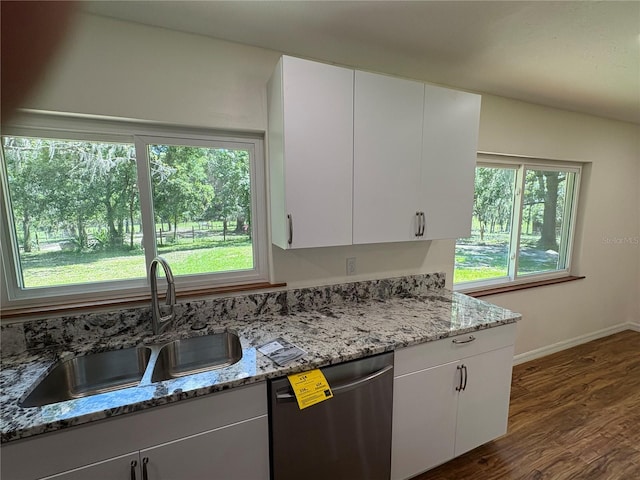 kitchen with stainless steel dishwasher, a healthy amount of sunlight, a sink, and baseboards