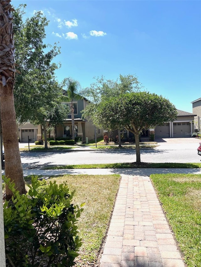 view of yard featuring driveway