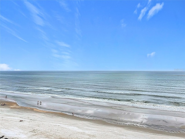 4071 S Atlantic Ave Unit 803, New Smyrna Beach, FL 32169 - water view with local beach