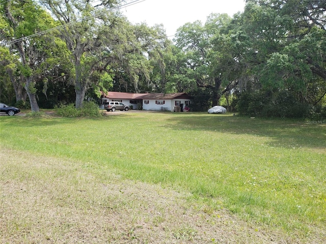 3024 State Road 46, Mount Dora, FL 32757 - photo 3