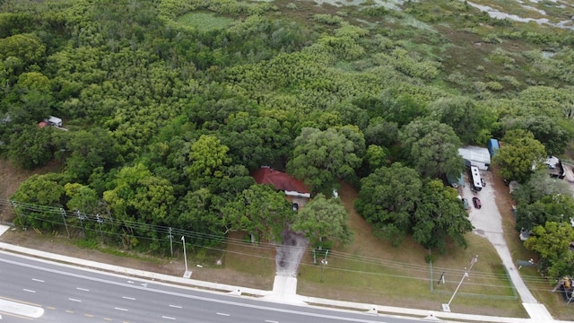 3024 State Road 46, Mount Dora, FL 32757 - photo 8