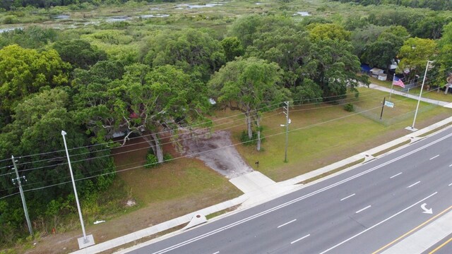 3024 State Road 46, Mount Dora, FL 32757 - photo 11