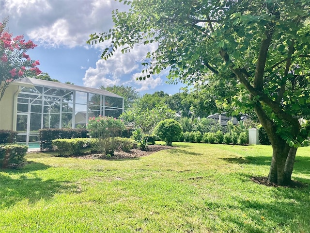 11401 Willow Stowe Ln, Windermere, FL 34786 - view of green lawn with a lanai