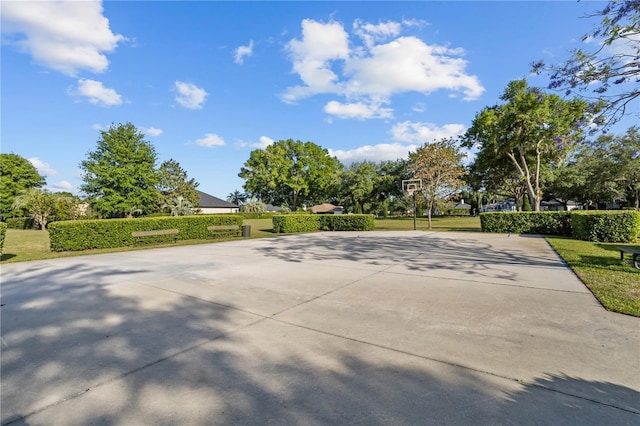 11401 Willow Stowe Ln, Windermere, FL 34786 - surrounding community with community basketball court