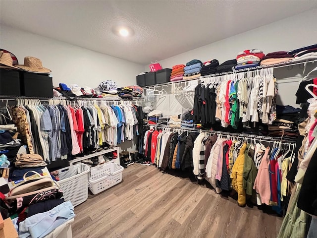 2926 Crest Wave Dr, Clermont, FL 34711 - spacious closet with light wood finished floors