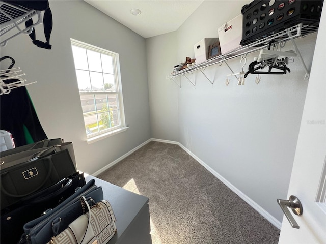 2926 Crest Wave Dr, Clermont, FL 34711 - walk in closet with carpet