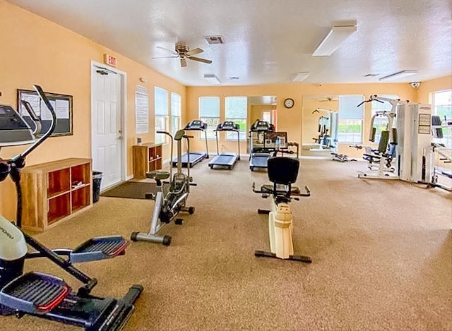 13500 Turtle Marsh Loop Unit 834, Orlando, FL 32837 - exercise room with carpet and ceiling fan