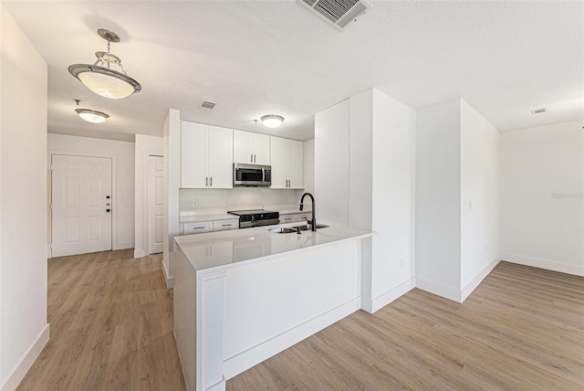 11901 4th St N Unit 2107, Saint Petersburg, FL 33716 - kitchen featuring a sink, stainless steel microwave, electric range, light wood-type flooring, and baseboards