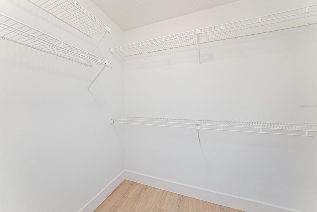 11901 4th St N Unit 2107, Saint Petersburg, FL 33716 - spacious closet with light wood-style floors