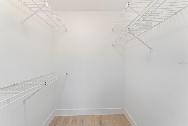 11901 4th St N Unit 2107, Saint Petersburg, FL 33716 - spacious closet featuring light wood-type flooring
