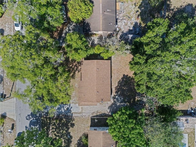 1531 Jefferson Dr, Mount Dora, FL 32757 - photo 16