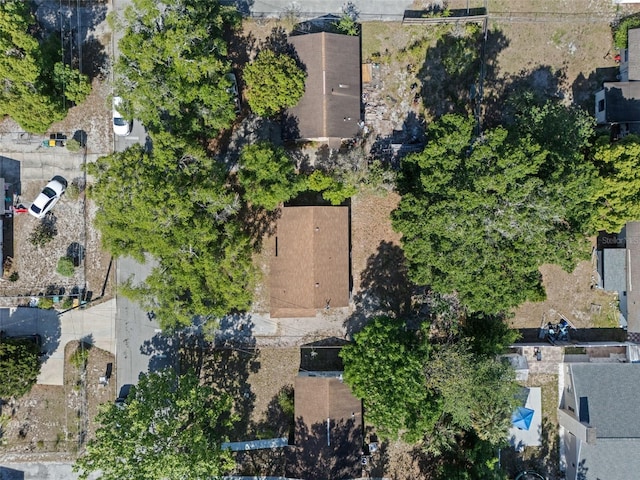 1531 Jefferson Dr, Mount Dora, FL 32757 - photo 17