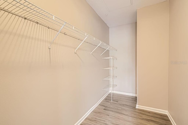 14238 Fredricksburg Dr Unit 310, Orlando, FL 32837 - walk in closet featuring light wood-style flooring