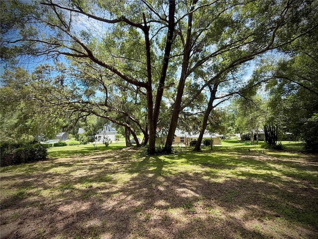 7237 Edmund Ct, Mount Dora, FL 32757 - photo 20