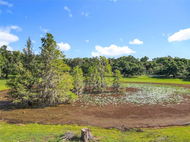 2983 Park Meadow Dr, Apopka, FL 32703 - view of yard with a water view
