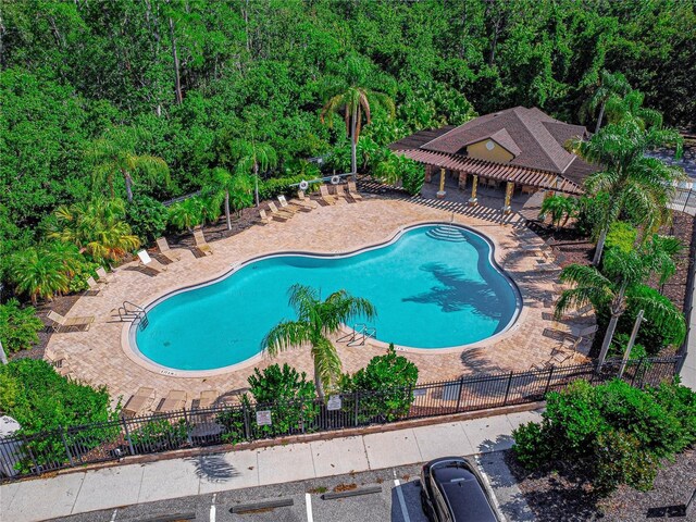 141 Campanello Ct, Daytona Beach, FL 32117 - community pool with a patio