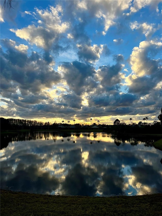 property view of water