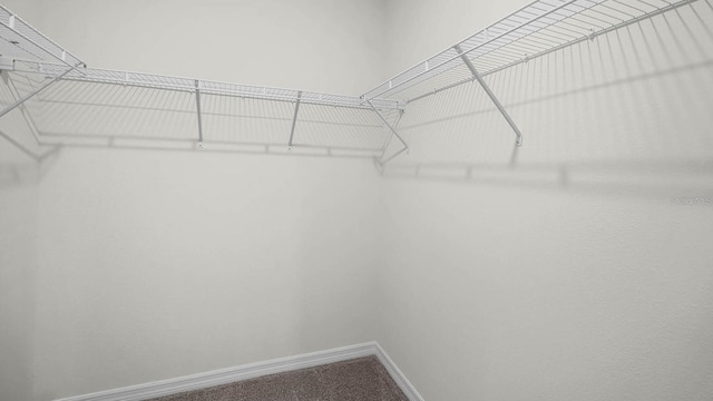 4626 Barberry Ave, Lakeland, FL 33811 - photo 3