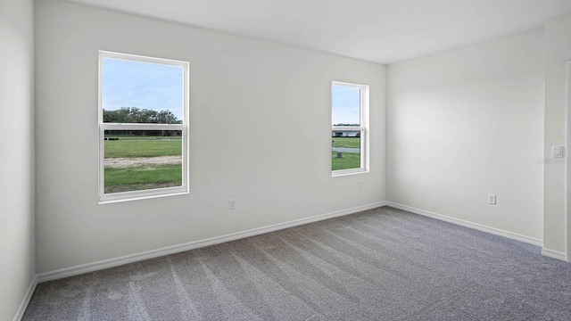 4626 Barberry Ave, Lakeland, FL 33811 - photo 6