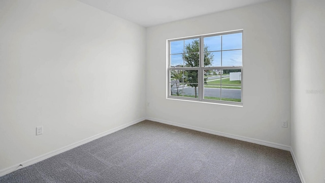 4626 Barberry Ave, Lakeland, FL 33811 - photo 37