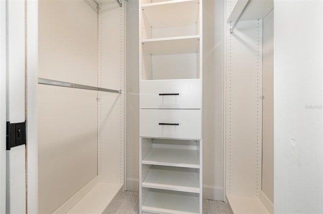 view of spacious closet