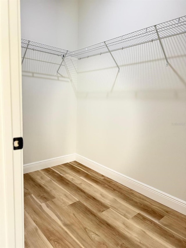 2406 SW 163rd Pl, Ocala, FL 34473 - walk in closet featuring light wood-style floors