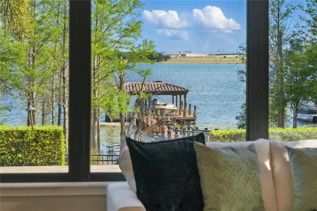 7624 Pointe Venezia Dr, Orlando, FL 32836 - water view