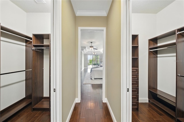 7624 Pointe Venezia Dr, Orlando, FL 32836 - spacious closet featuring dark wood-style flooring and ceiling fan