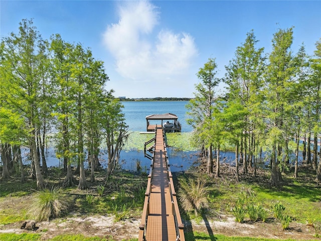 7624 Pointe Venezia Dr, Orlando, FL 32836 - dock with a water view