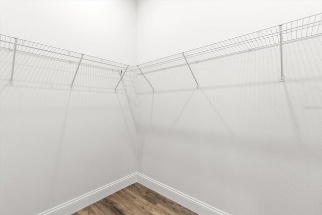 3851 W Wilburton Dr, Citrus Springs, FL 34433 - walk in closet with dark wood-style floors