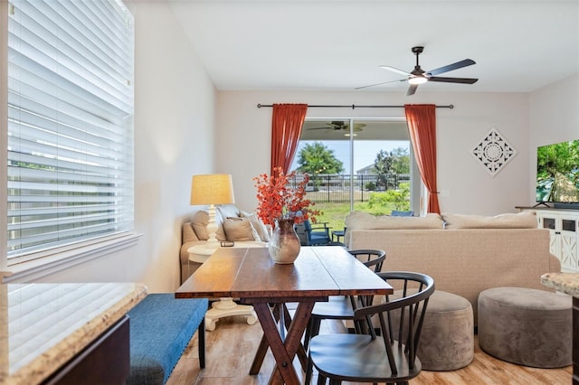dining room with ceiling fan and wood finished floors