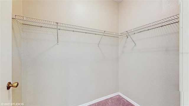 spacious closet with carpet flooring