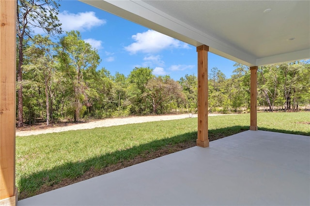 6725 SW 131st Cir, Ocala, FL 34481 - view of patio