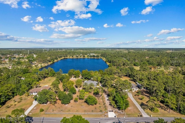 birds eye view of property with a water view and a view of trees