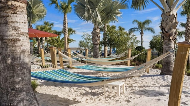 3806 Lana Ave, Davenport, FL 33897 - view of play area