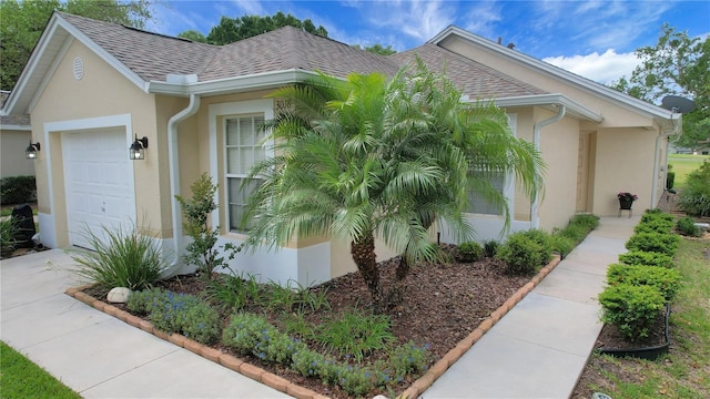 3018 Andover Ct, Mount Dora, FL 32757 - view of home's exterior featuring an attached garage, stucco siding, concrete driveway, and roof with shingles