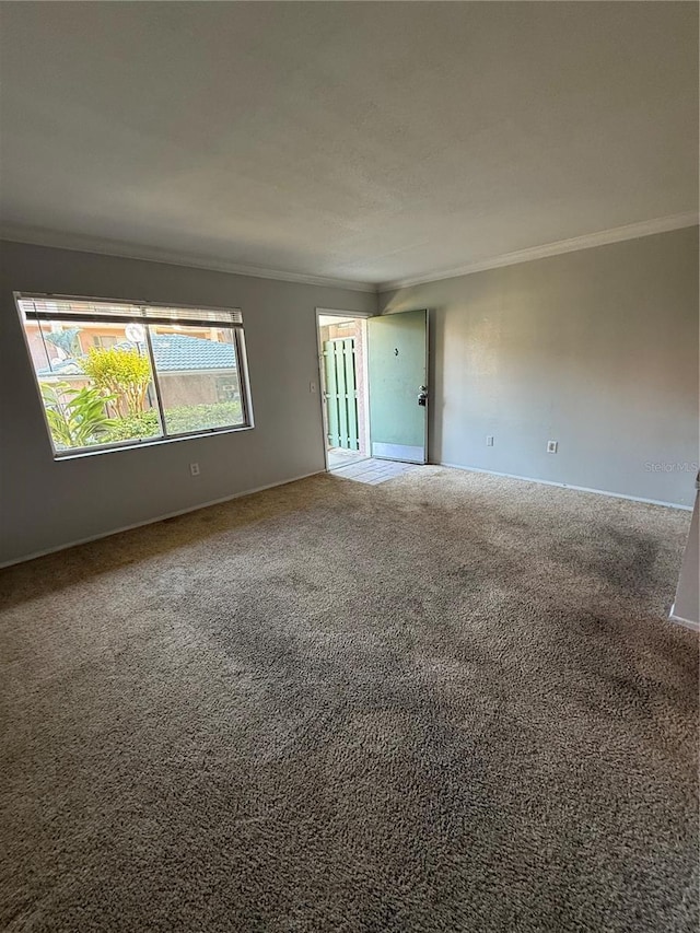 131 Water Front Way Unit 110, Altamonte Springs, FL 32701 - spare room with carpet floors, baseboards, and ornamental molding